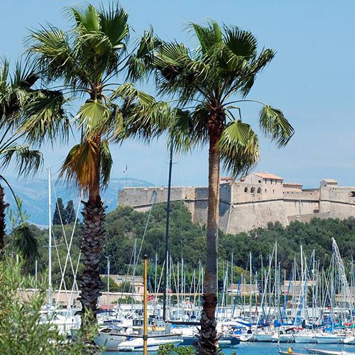 fortcarredvincendeau
